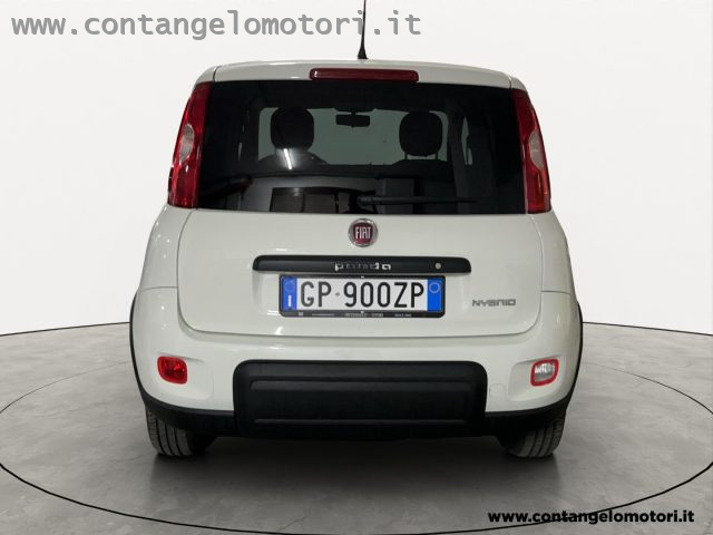 FIAT Panda 1.0 S&S Hybrid Van 2 posti Immagine 3