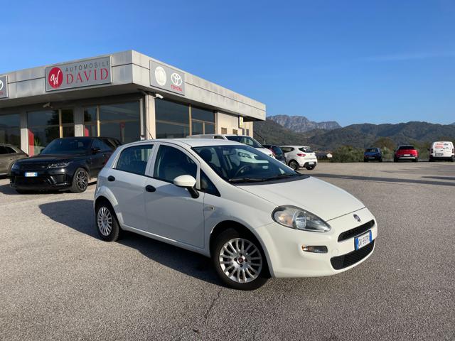 FIAT Punto 1.2 8V 5 porte Street Immagine 0