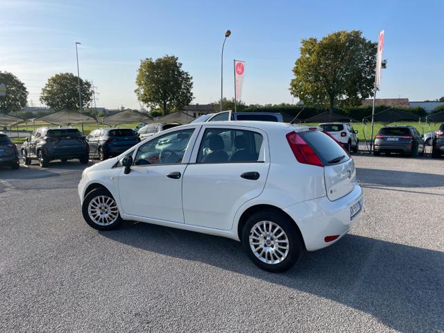 FIAT Punto 1.2 8V 5 porte Street Immagine 2