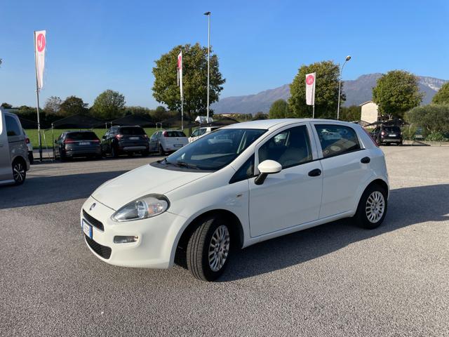 FIAT Punto 1.2 8V 5 porte Street Immagine 1