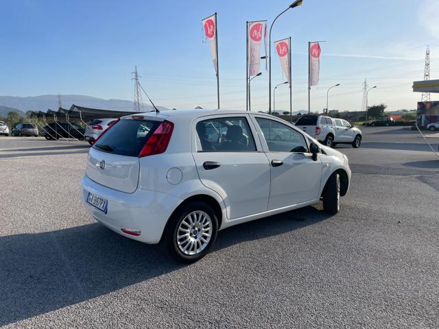 FIAT Punto 1.2 8V 5 porte Street Immagine 3