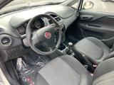 FIAT Punto 1.2 8V 5 porte Street