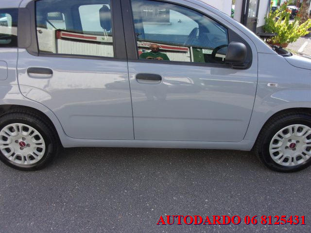 FIAT Panda 1.2 GPL  EasyPower Easy Immagine 4