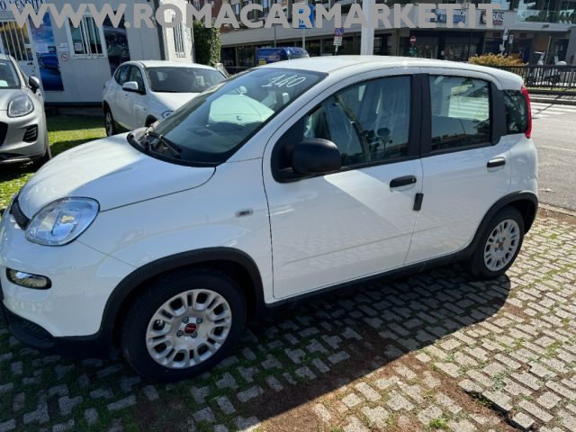 FIAT Panda 1.0 FireFly S&S Hybrid SENSORI PARK RADIO BT KM0 Immagine 2