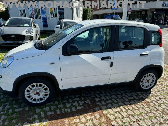 FIAT Panda 1.0 FireFly S&S Hybrid SENSORI PARK RADIO BT KM0 Immagine 3