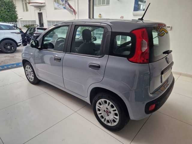 FIAT Panda 1.2 Easy tua da ?99,00 Immagine 1