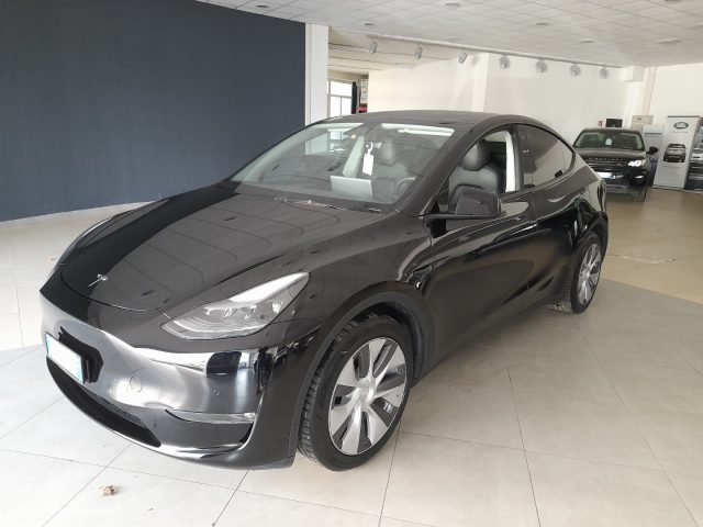 TESLA Model Y Long Range AWD Immagine 0