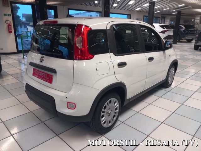 FIAT Panda 1.0 FireFly S&S Hybrid Pandina Immagine 3