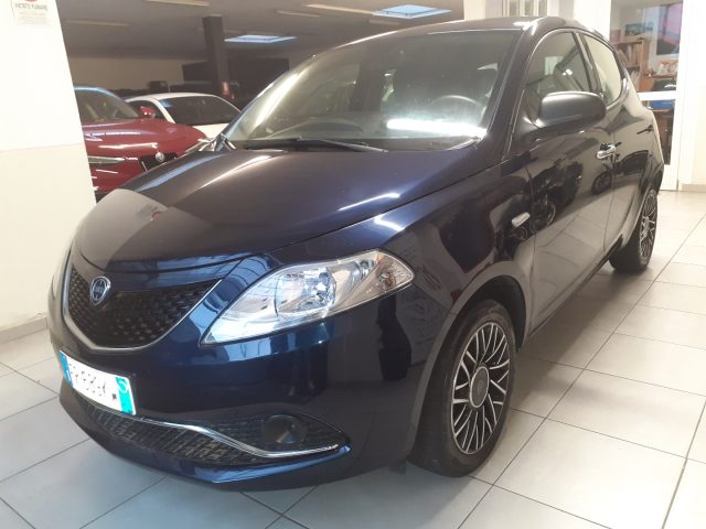 LANCIA Ypsilon 1.3 MJT 16V 95 CV 5 porte S&S Platinum Immagine 0