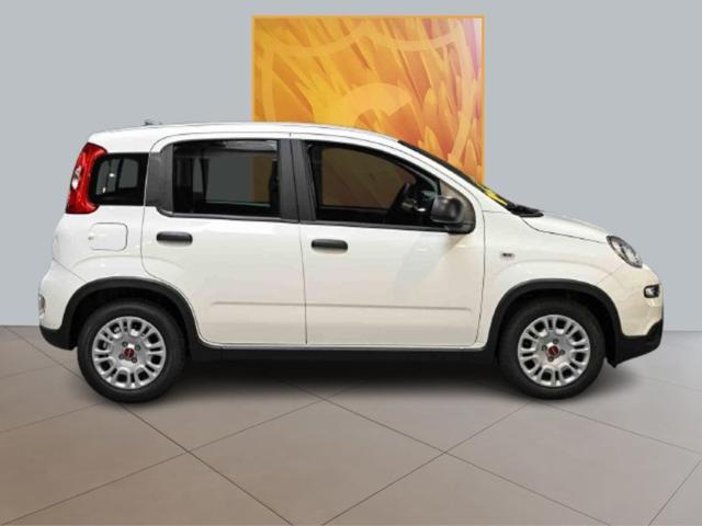 FIAT Panda 1.0 Hybrid MY23 70cv Immagine 3