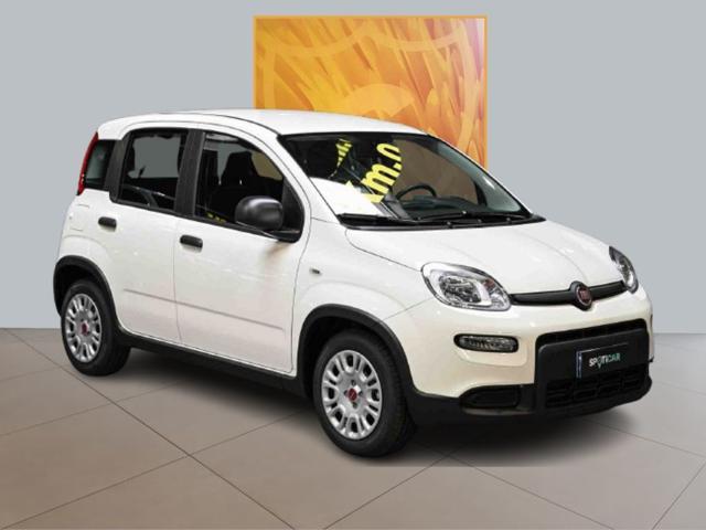 FIAT Panda 1.0 Hybrid MY23 70cv Immagine 2