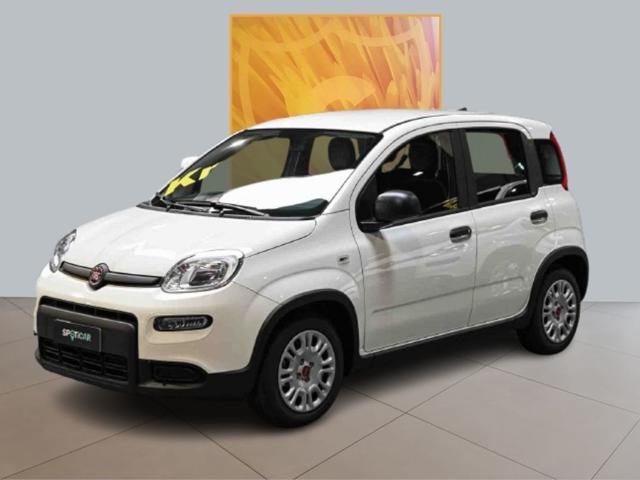 FIAT Panda 1.0 Hybrid MY23 70cv Immagine 0