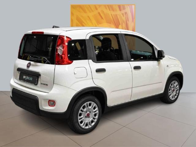 FIAT Panda 1.0 Hybrid MY23 70cv Immagine 4