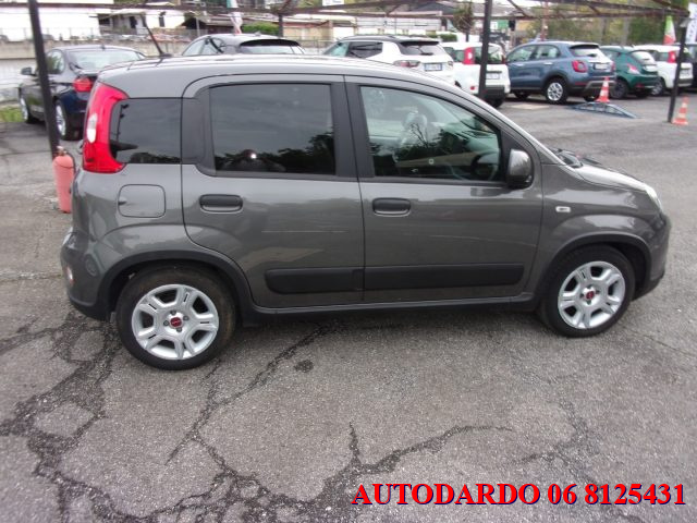 FIAT Panda 1.0 FireFly S&S Hybrid City Life Immagine 4