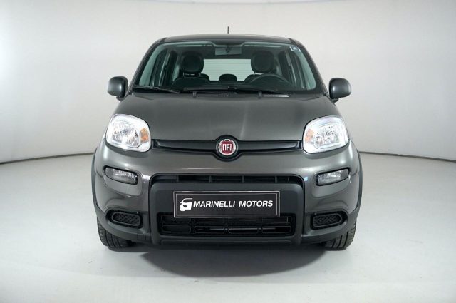 FIAT Panda 1.0 FIREFLY S&amp;S HYBRID Immagine 1