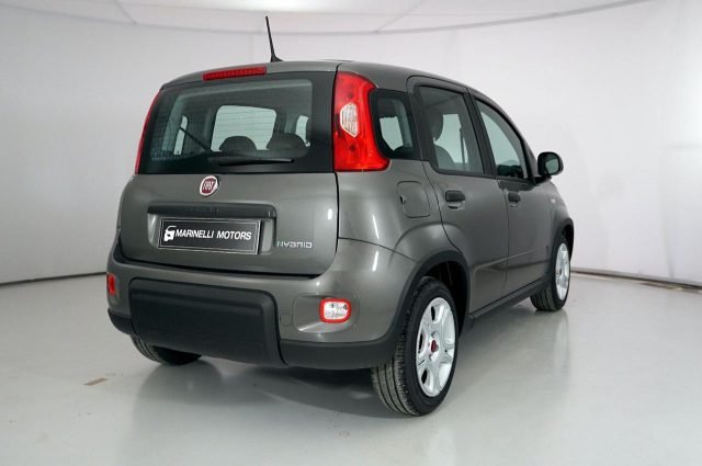 FIAT Panda 1.0 FIREFLY S&amp;S HYBRID Immagine 2