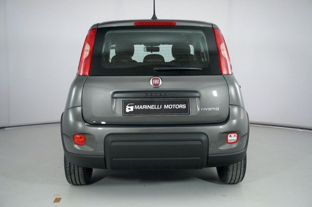 FIAT Panda 1.0 FIREFLY S&amp;S HYBRID Immagine 3