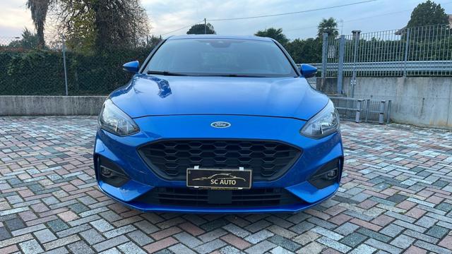 FORD Focus 2.0 EcoBlue 150 CV automatico 5p. ST-Line Co-Pilot Immagine 1