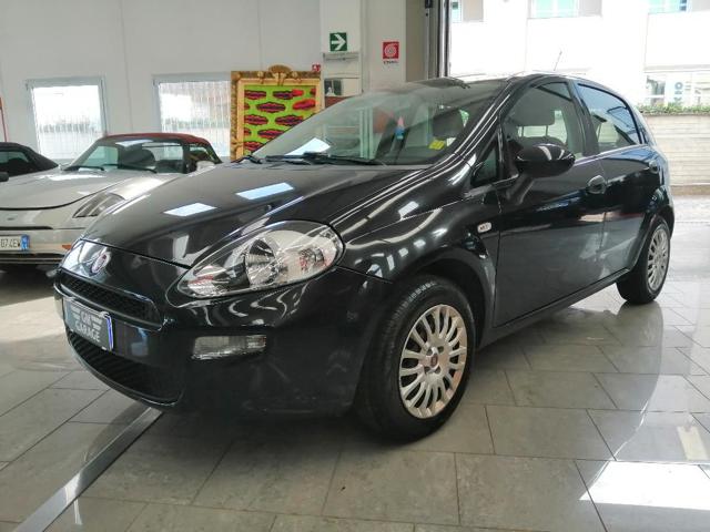 FIAT Punto 1.2 8V 5 porte Street Immagine 0