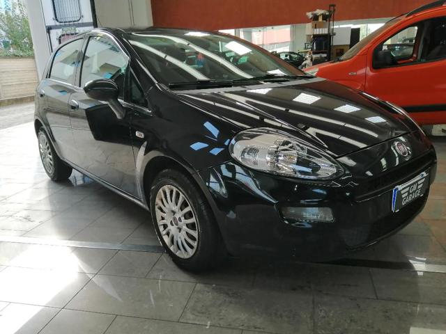 FIAT Punto 1.2 8V 5 porte Street Immagine 1