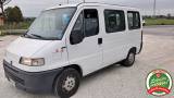 FIAT Ducato 2500 Tdi Panorama 9 Posti