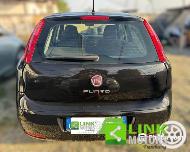 FIAT Punto 1.2 5 porte Immagine 2