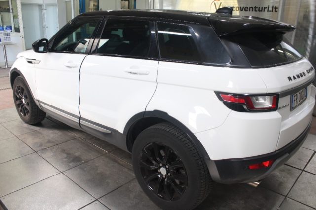 LAND ROVER Range Rover Evoque 2.0 TD4 150 CV 5p. Pure Bs Ed. Premium Pure Immagine 4