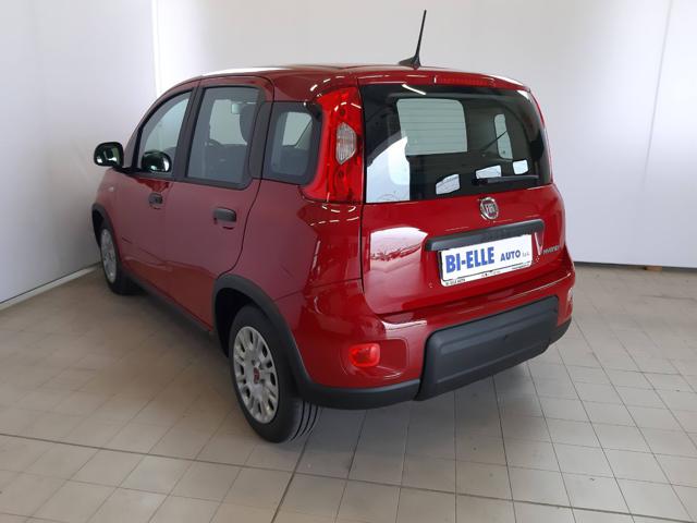 FIAT Panda 1.0 FireFly S&S Hybrid Immagine 3