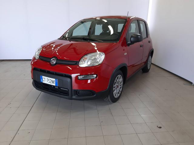 FIAT Panda 1.0 FireFly S&S Hybrid Immagine 2