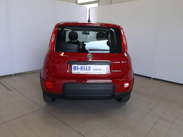 FIAT Panda 1.0 FireFly S&S Hybrid Immagine 4