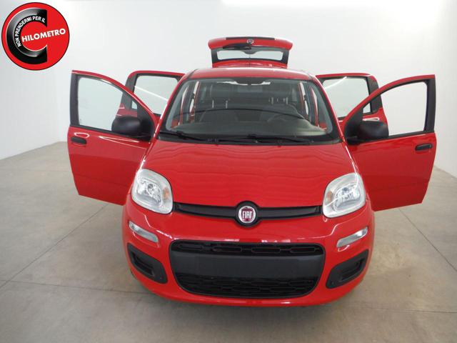 FIAT Panda 1.2 Easy Immagine 2