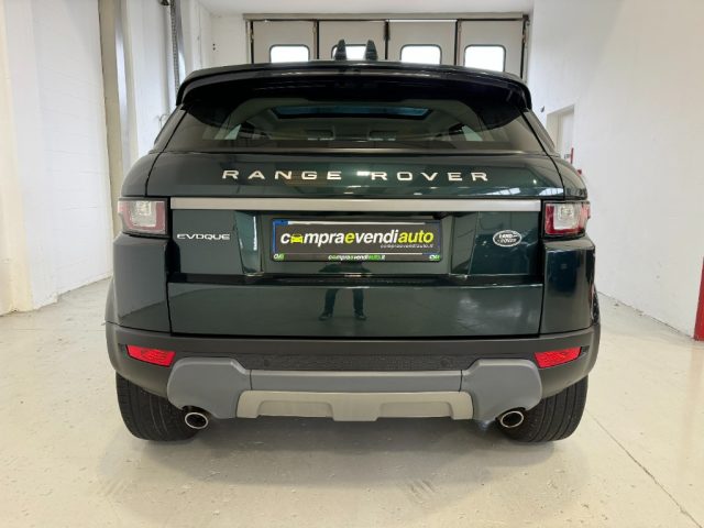 LAND ROVER Range Rover Evoque 2.0 TD4 150 CV 5p. HSE Dynamic TETTO PANORAMICO Immagine 3