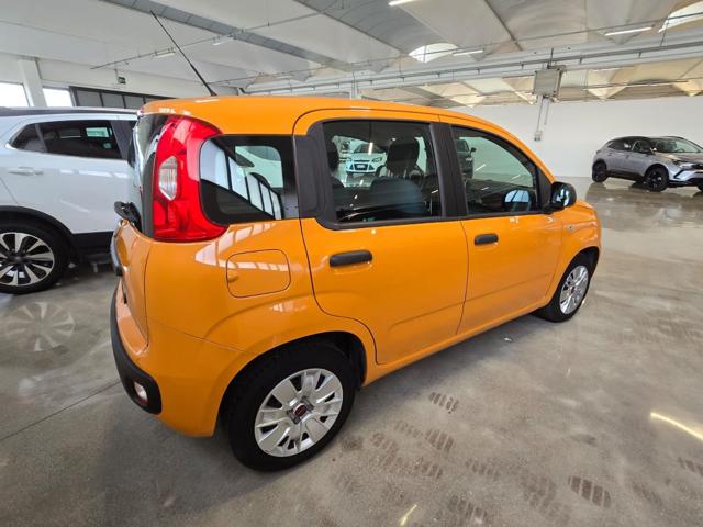 FIAT Panda 1.2 Easy Immagine 2