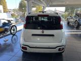 FIAT Panda 1.0 FireFly S&S Hybrid Pandina CROSS - Km Zero