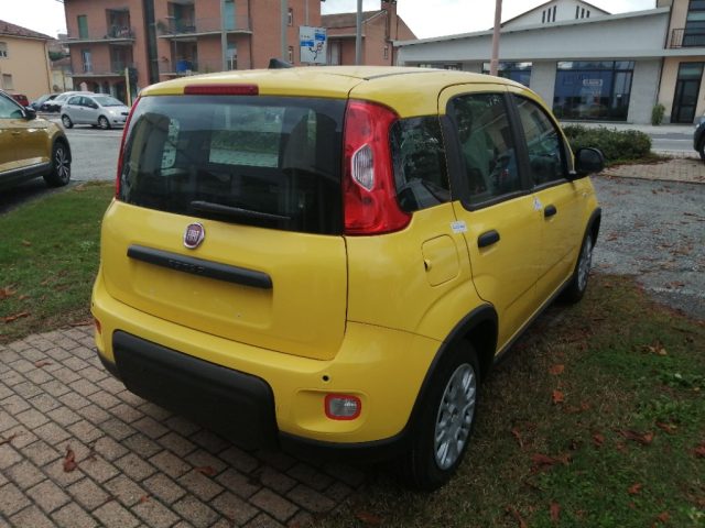 FIAT Panda 1.0 FireFly S&S Hybrid Pandina Immagine 1