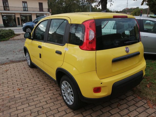 FIAT Panda 1.0 FireFly S&S Hybrid Pandina Immagine 2