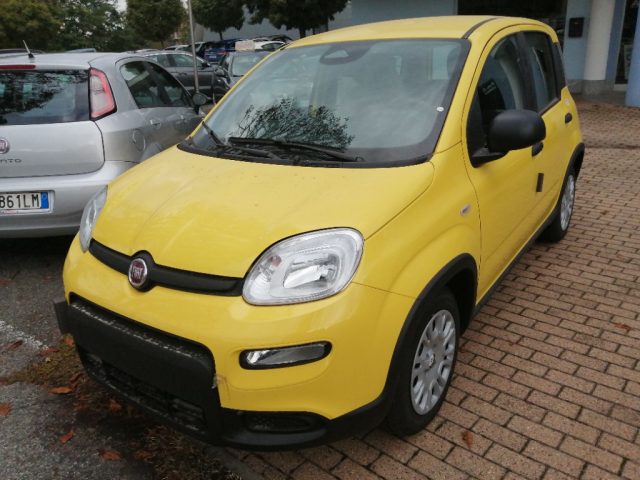 FIAT Panda 1.0 FireFly S&S Hybrid Pandina Immagine 4