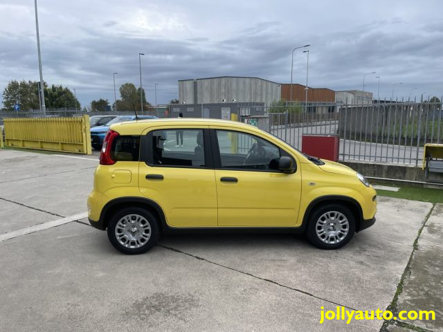 FIAT Panda 1.0 FireFly S&S Hybrid Pandina **KM0** NEOPATENTAT Immagine 3