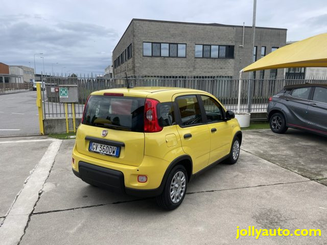 FIAT Panda 1.0 FireFly S&S Hybrid Pandina **KM0** NEOPATENTAT Immagine 4