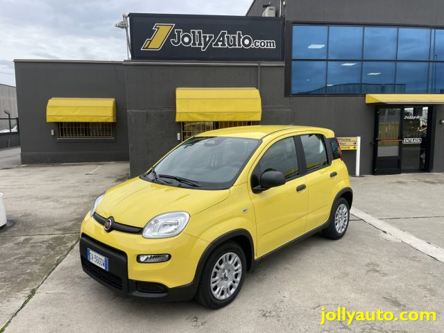 FIAT Panda 1.0 FireFly S&S Hybrid Pandina **KM0** NEOPATENTAT Immagine 0