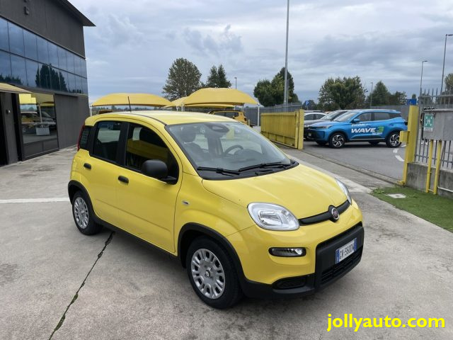 FIAT Panda 1.0 FireFly S&S Hybrid Pandina **KM0** NEOPATENTAT Immagine 2