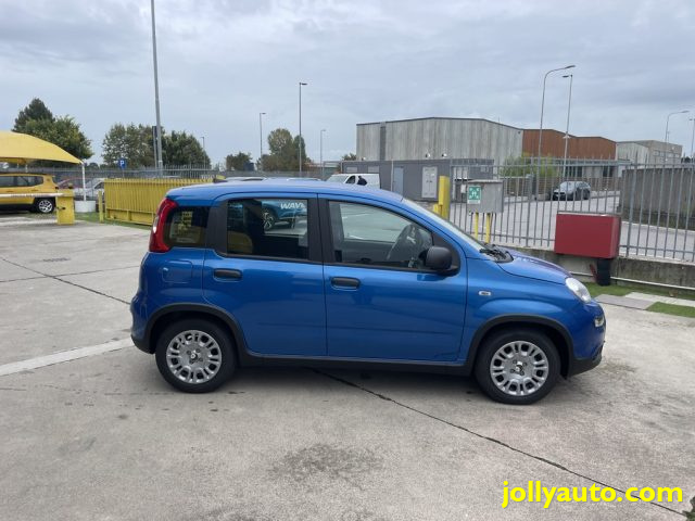 FIAT Panda 1.0 FireFly S&S Hybrid Pandina **KM0** NEOPATENTAT Immagine 3