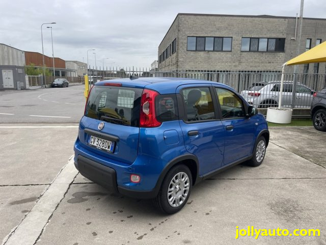 FIAT Panda 1.0 FireFly S&S Hybrid Pandina **KM0** NEOPATENTAT Immagine 4