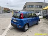 FIAT Panda 1.0 FireFly S&S Hybrid Pandina **KM0** NEOPATENTAT