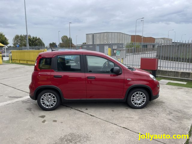 FIAT Panda 1.0 FireFly S&S Hybrid Pandina **KM0** NEOPATENTAT Immagine 3