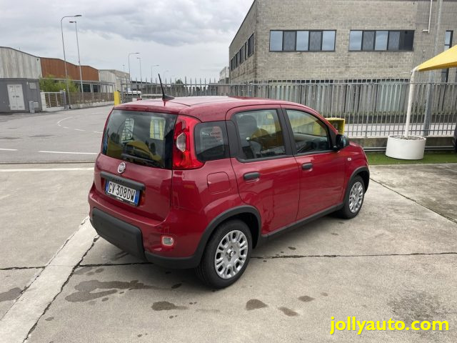 FIAT Panda 1.0 FireFly S&S Hybrid Pandina **KM0** NEOPATENTAT Immagine 4