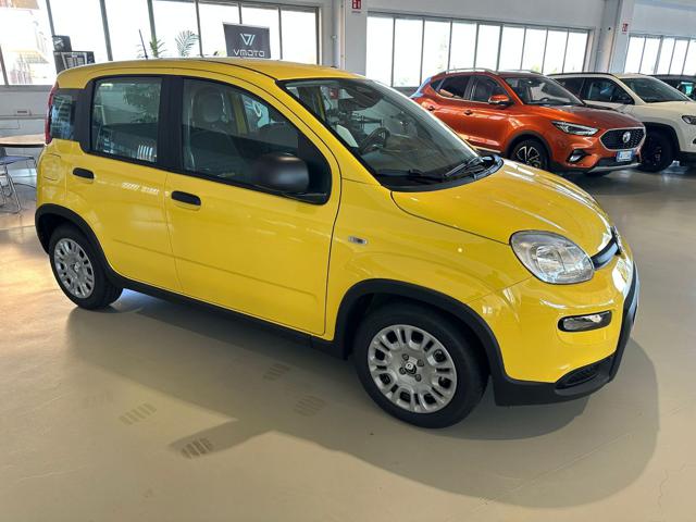 FIAT Panda 1.0 FireFly S&S Hybrid Immagine 2