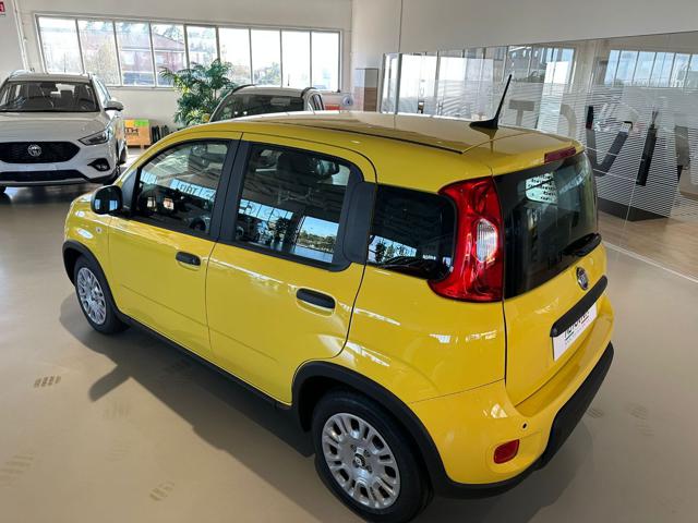 FIAT Panda 1.0 FireFly S&S Hybrid Immagine 4