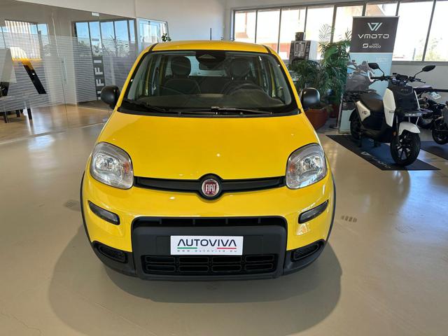 FIAT Panda 1.0 FireFly S&S Hybrid Immagine 1