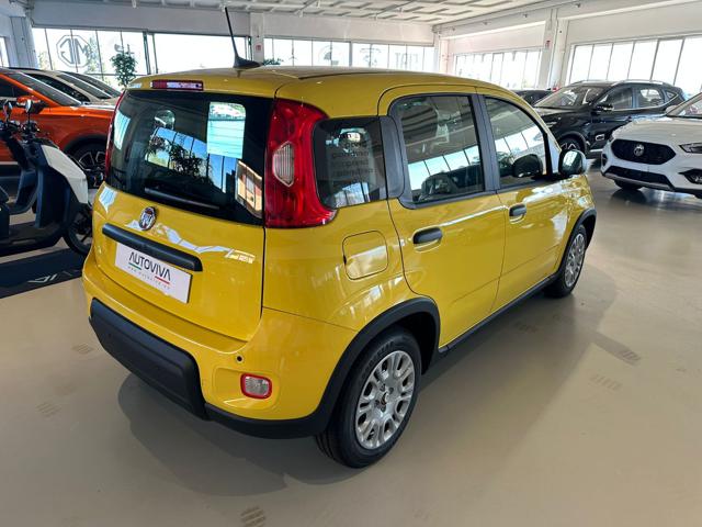 FIAT Panda 1.0 FireFly S&S Hybrid Immagine 3